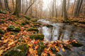 Rudens upelis Plakatelis
