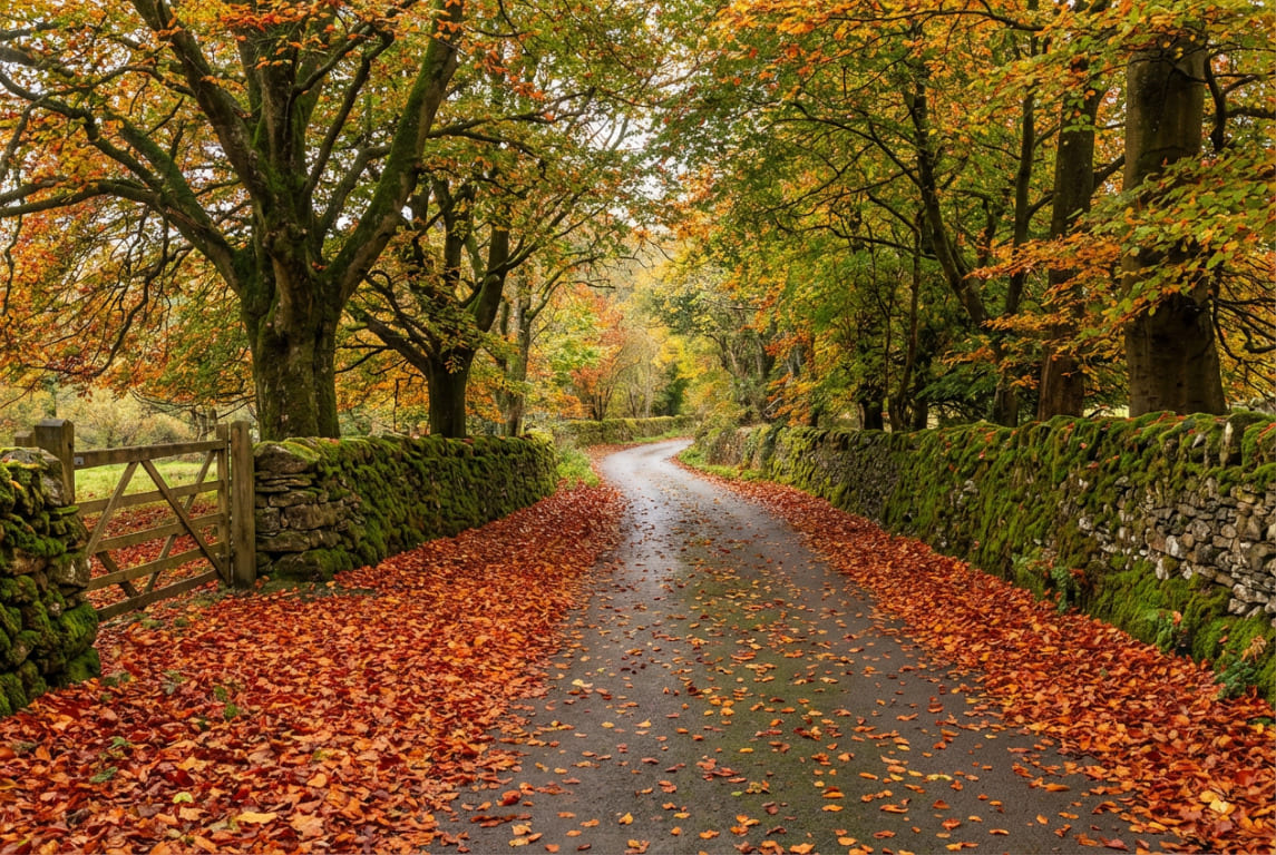 Rudens spalvos Plakatelis